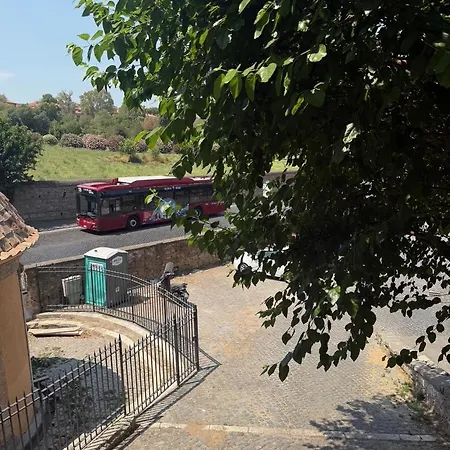 Appiaantica *